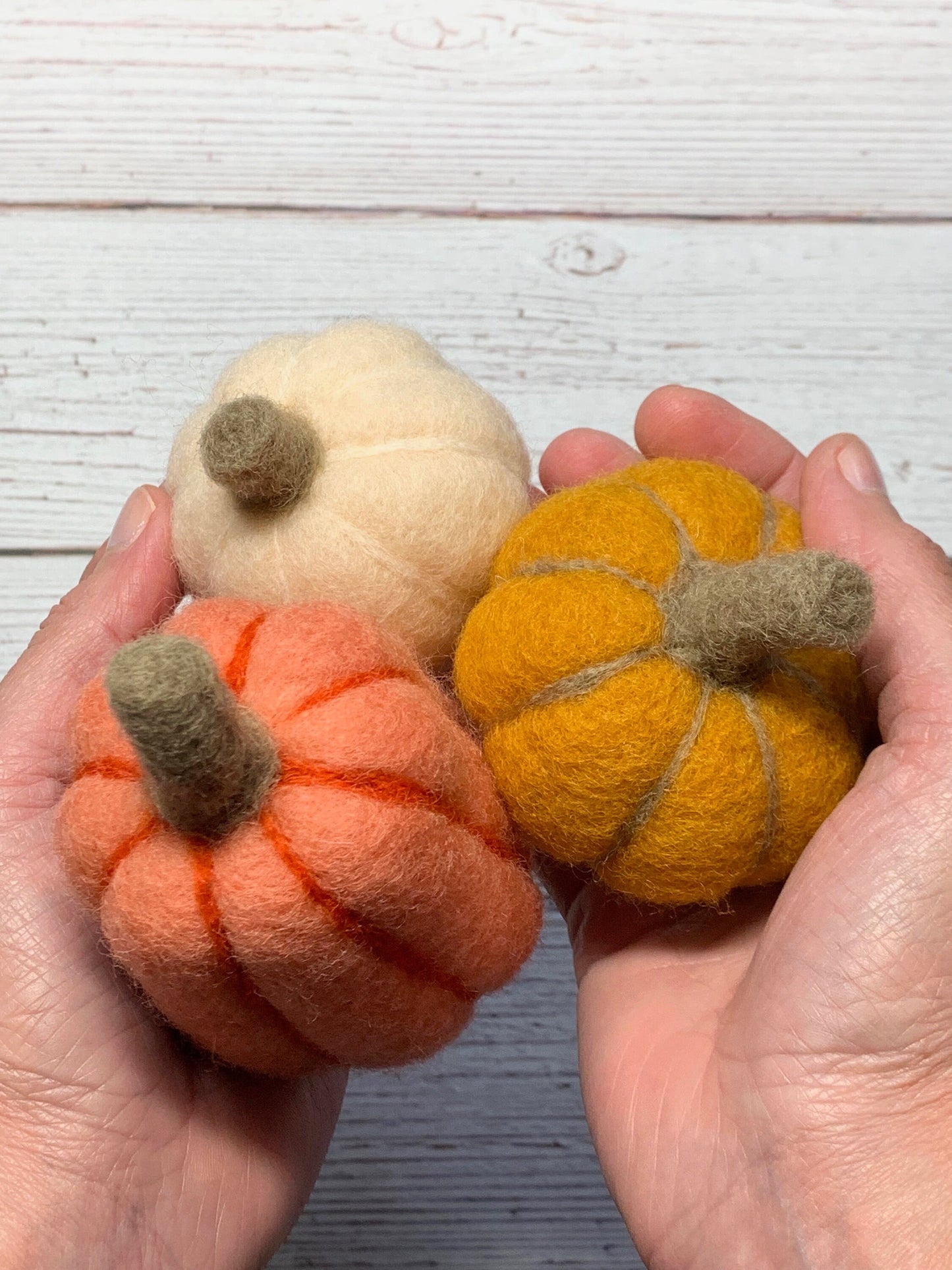 Needle Felted Pumpkins
