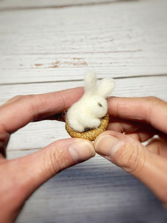 Sleeping White Bunny in Acorn Cap