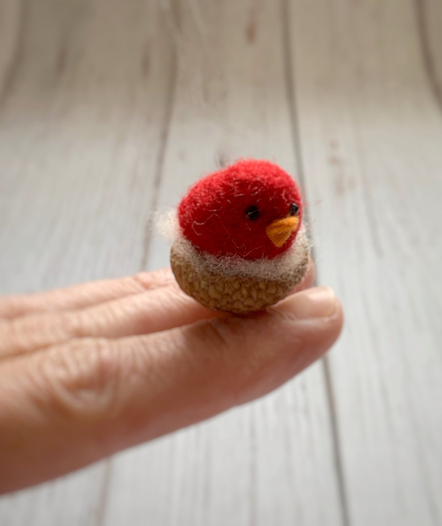 Bird in Acorn Cap Ornament