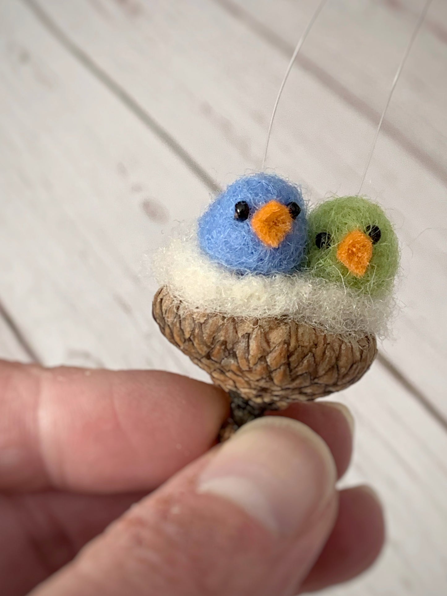 Two Birds in Acorn Cap Nest