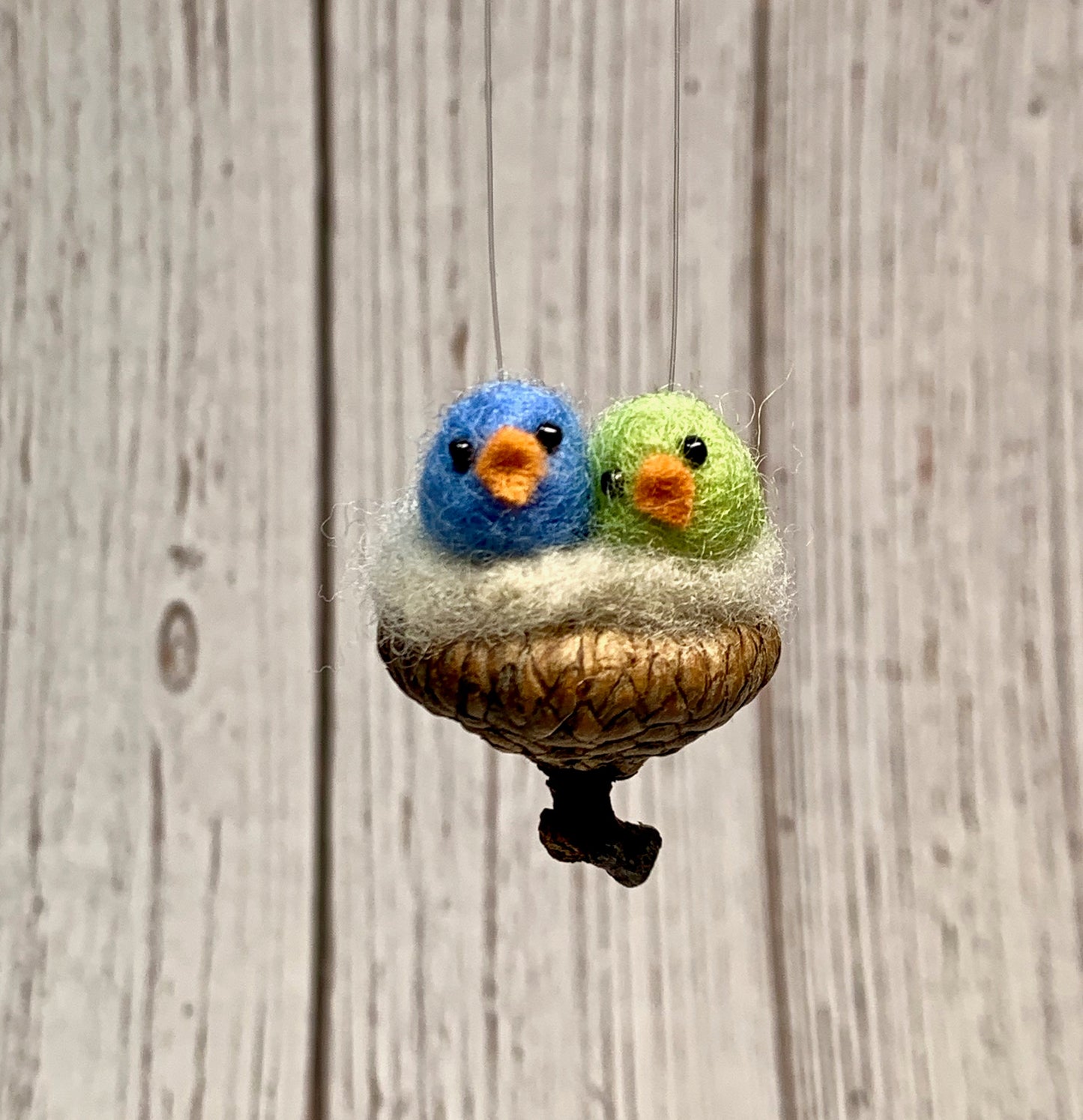 Two Birds in Acorn Cap Nest