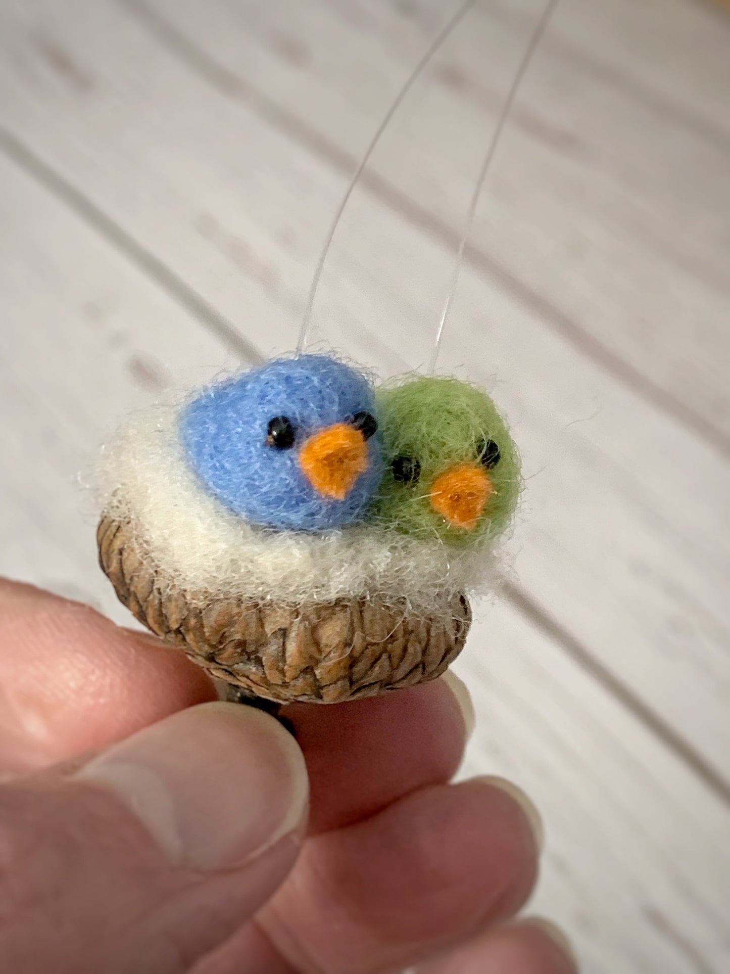 Two Birds in Acorn Cap Nest