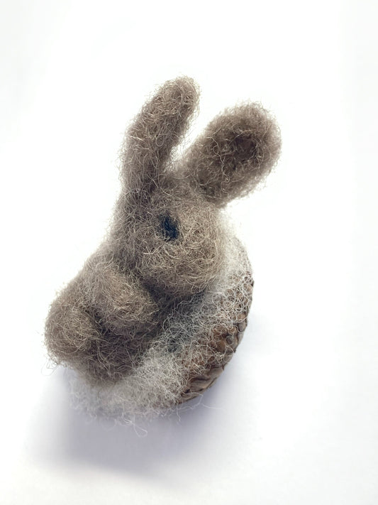 Sleeping Brown Bunny in Acorn Cap