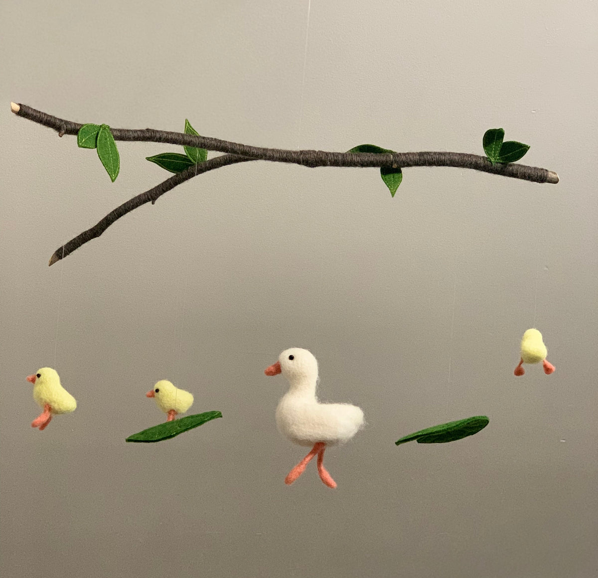 Duck and Ducklings