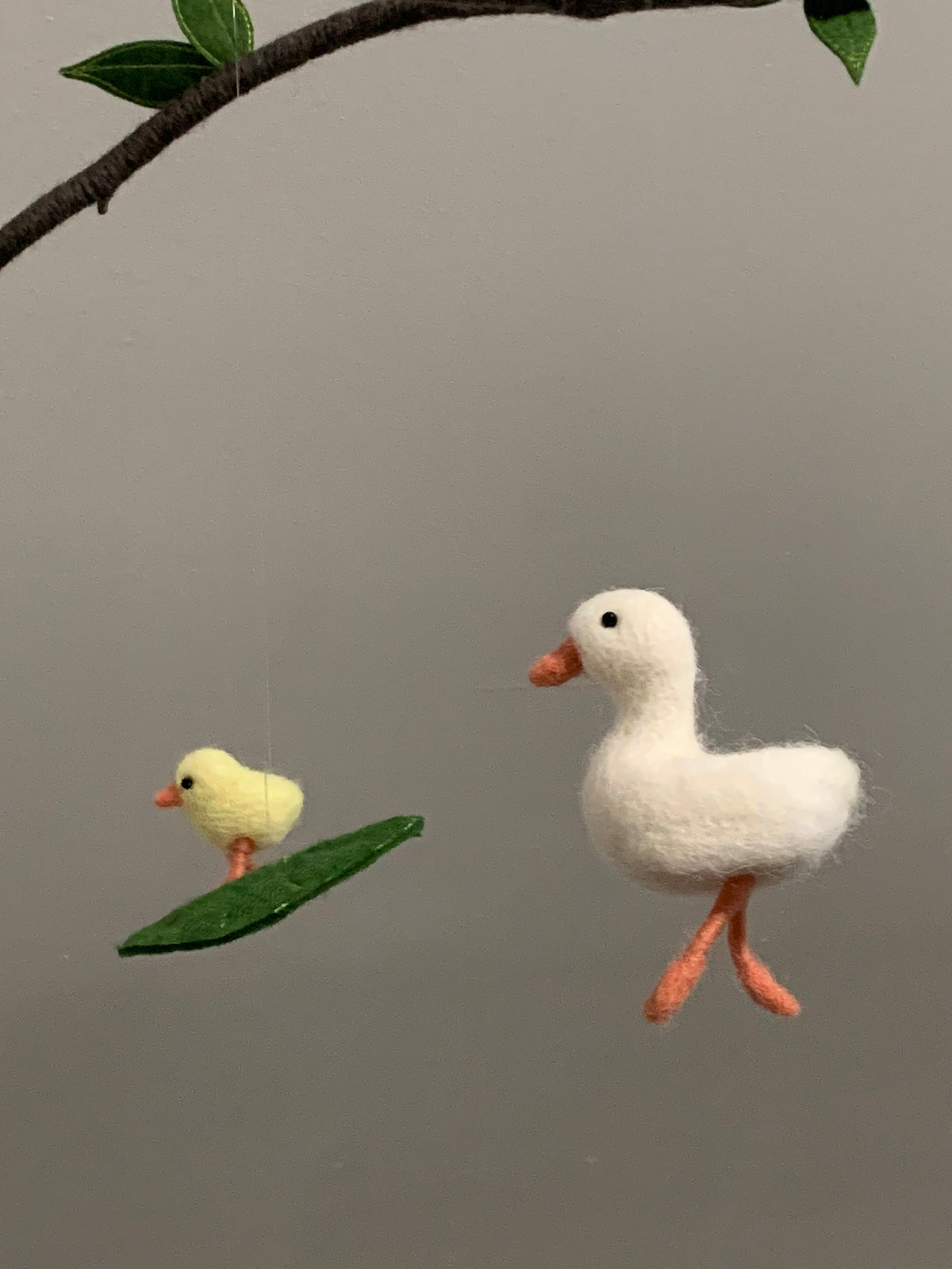 Duck and Ducklings
