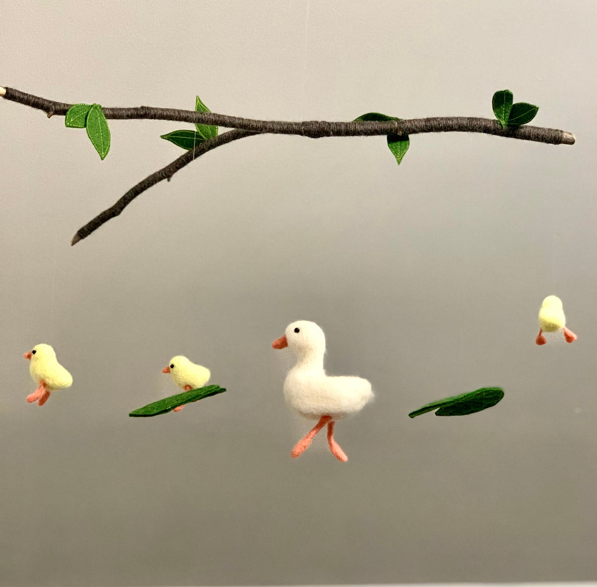 Duck and Ducklings