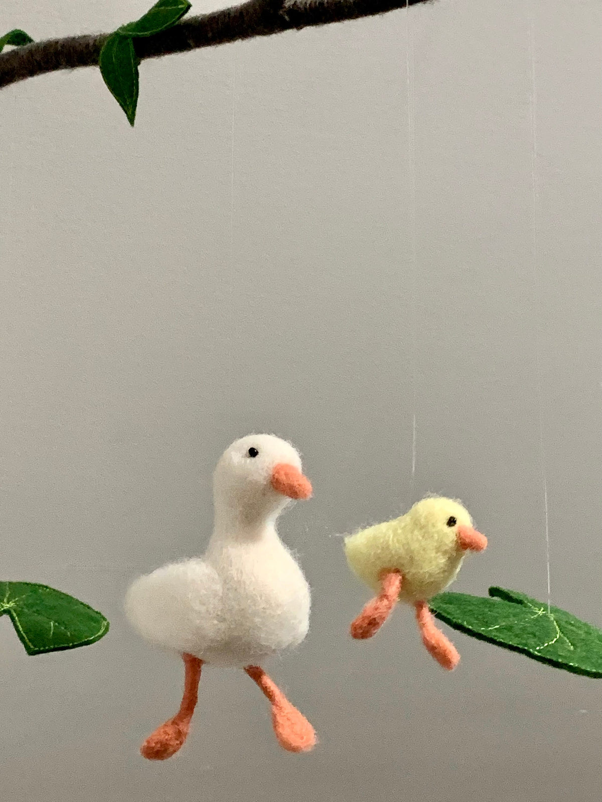 Duck and Ducklings