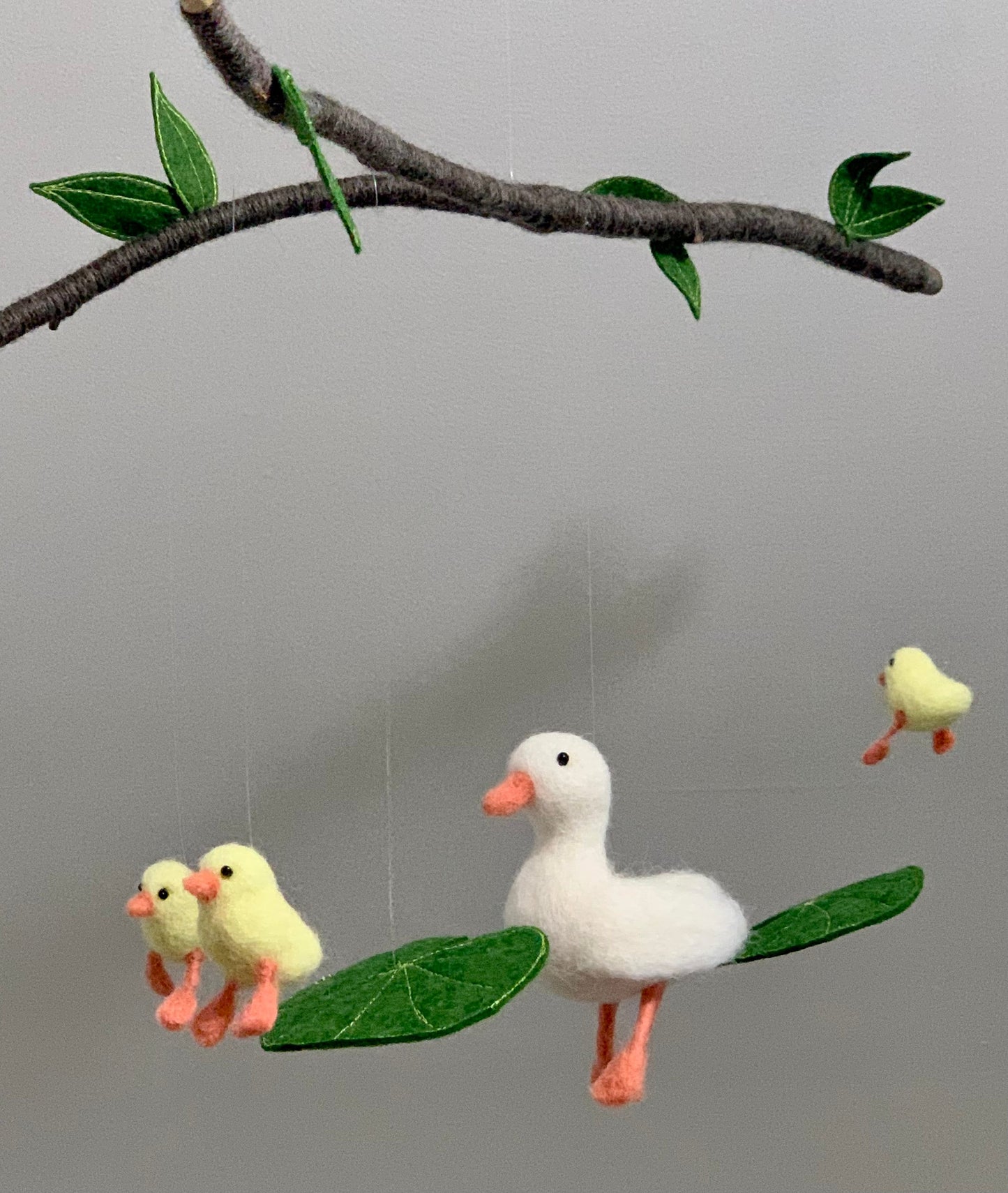 Duck and Ducklings