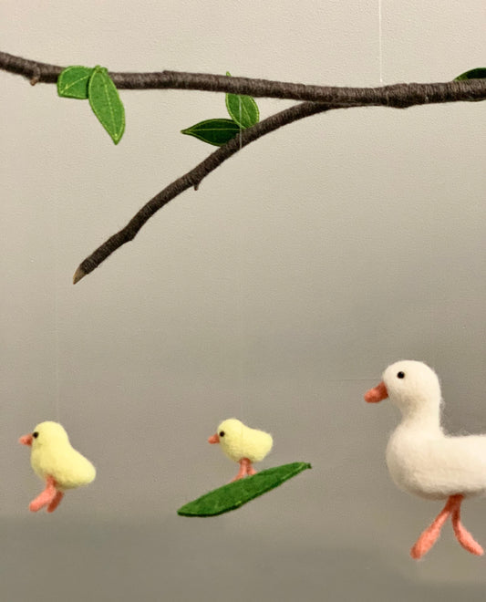 Duck and Ducklings