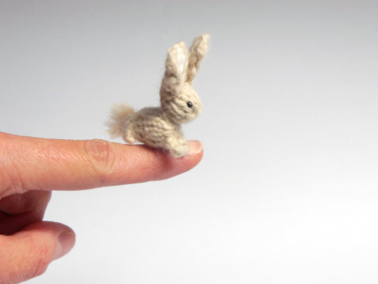 Miniature Bunny