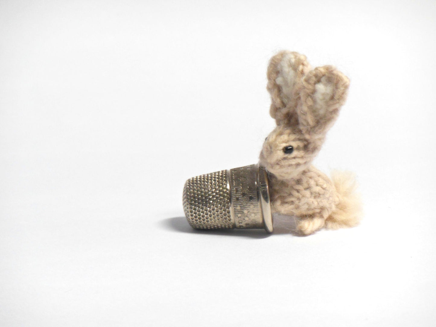 Miniature Bunny