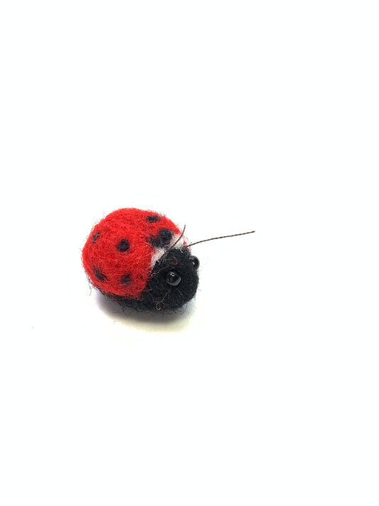 Ladybug