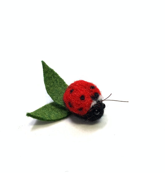 Ladybug
