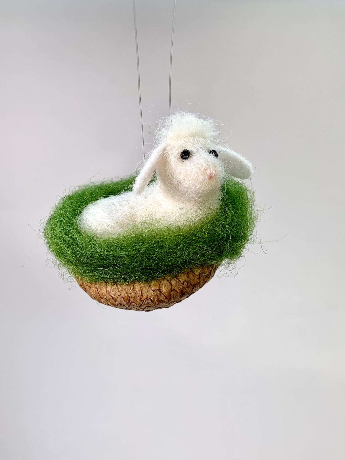 Little Lamb in Acorn Cap