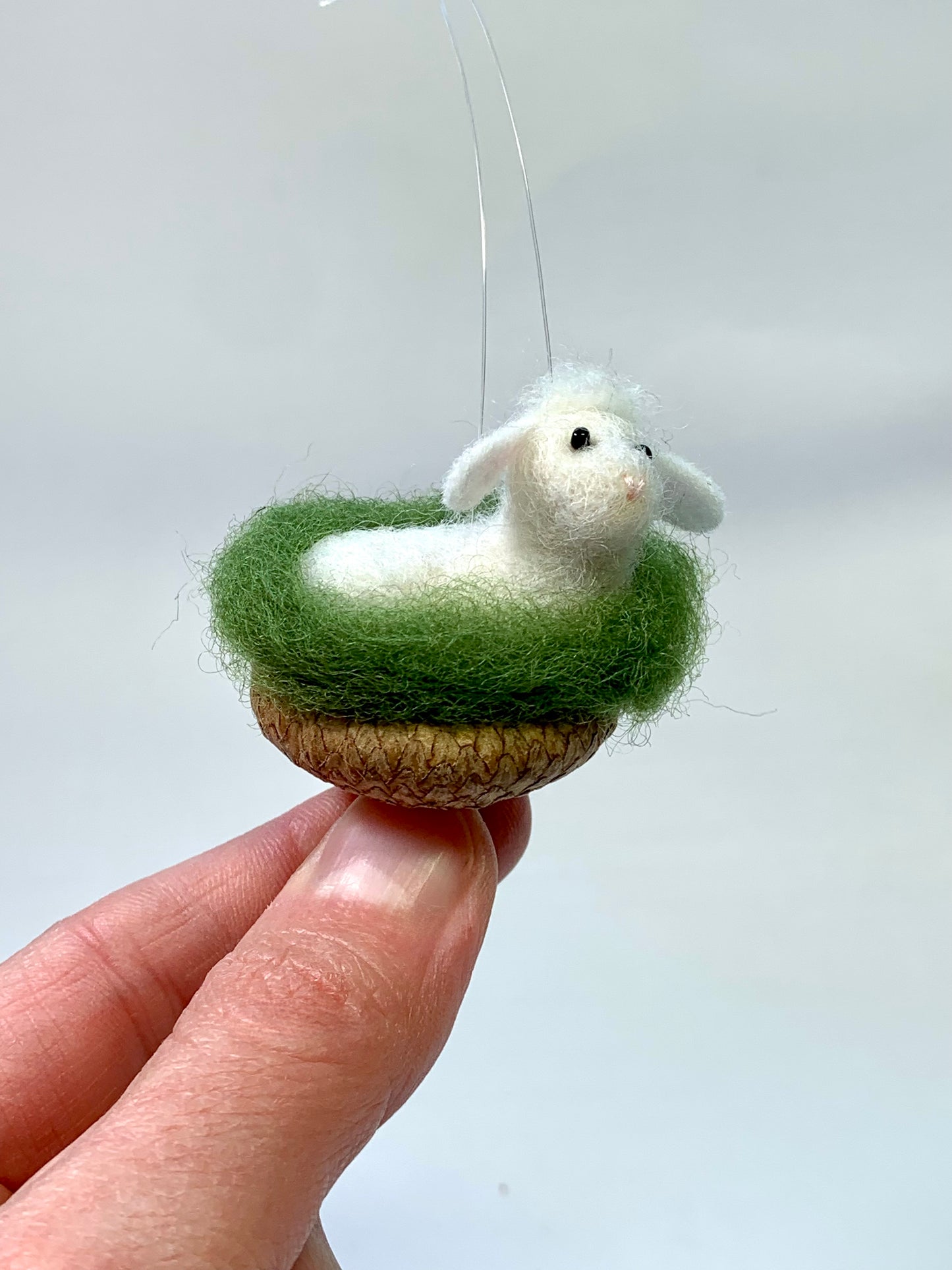 Little Lamb in Acorn Cap