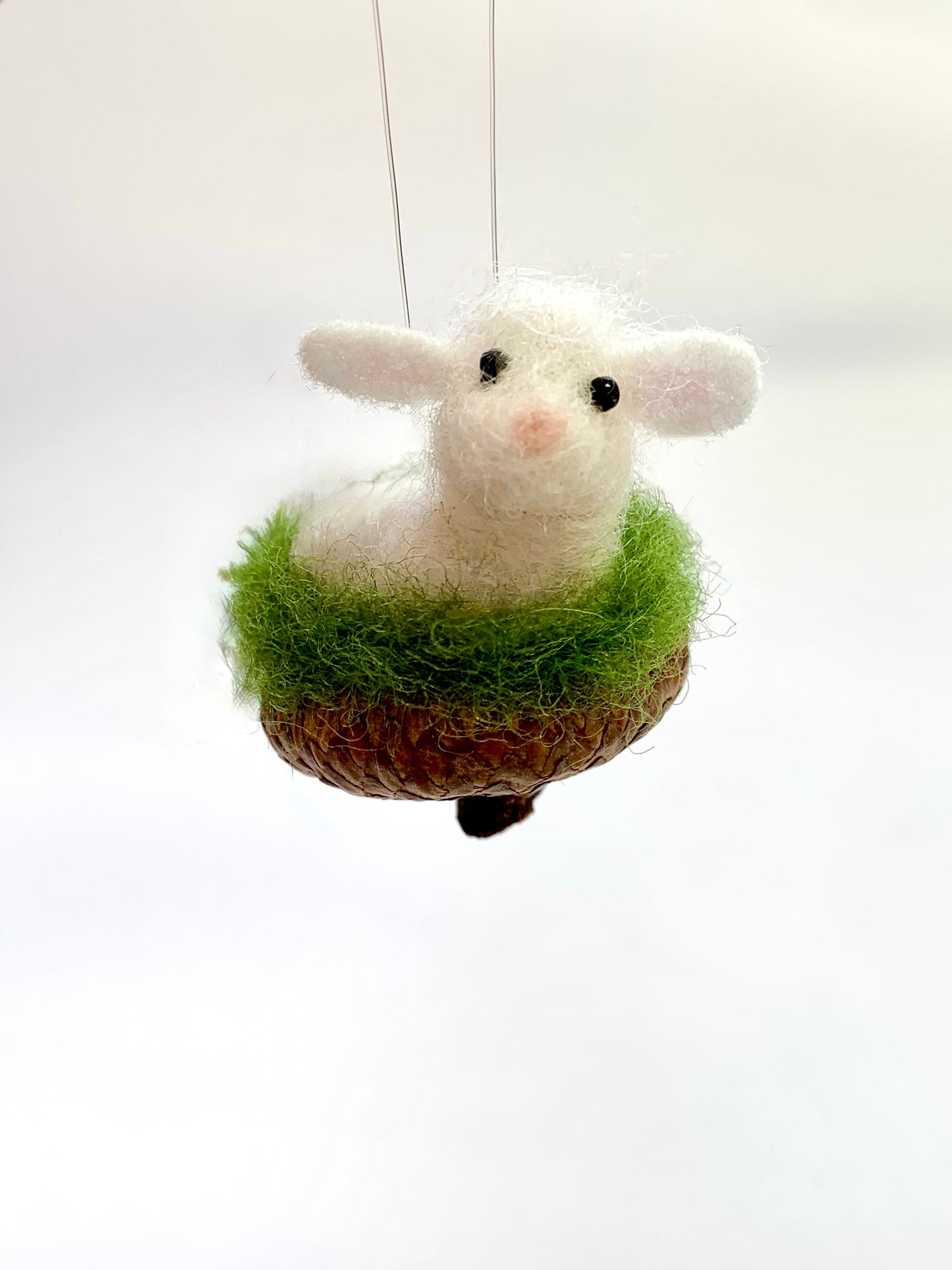 Little Lamb in Acorn Cap