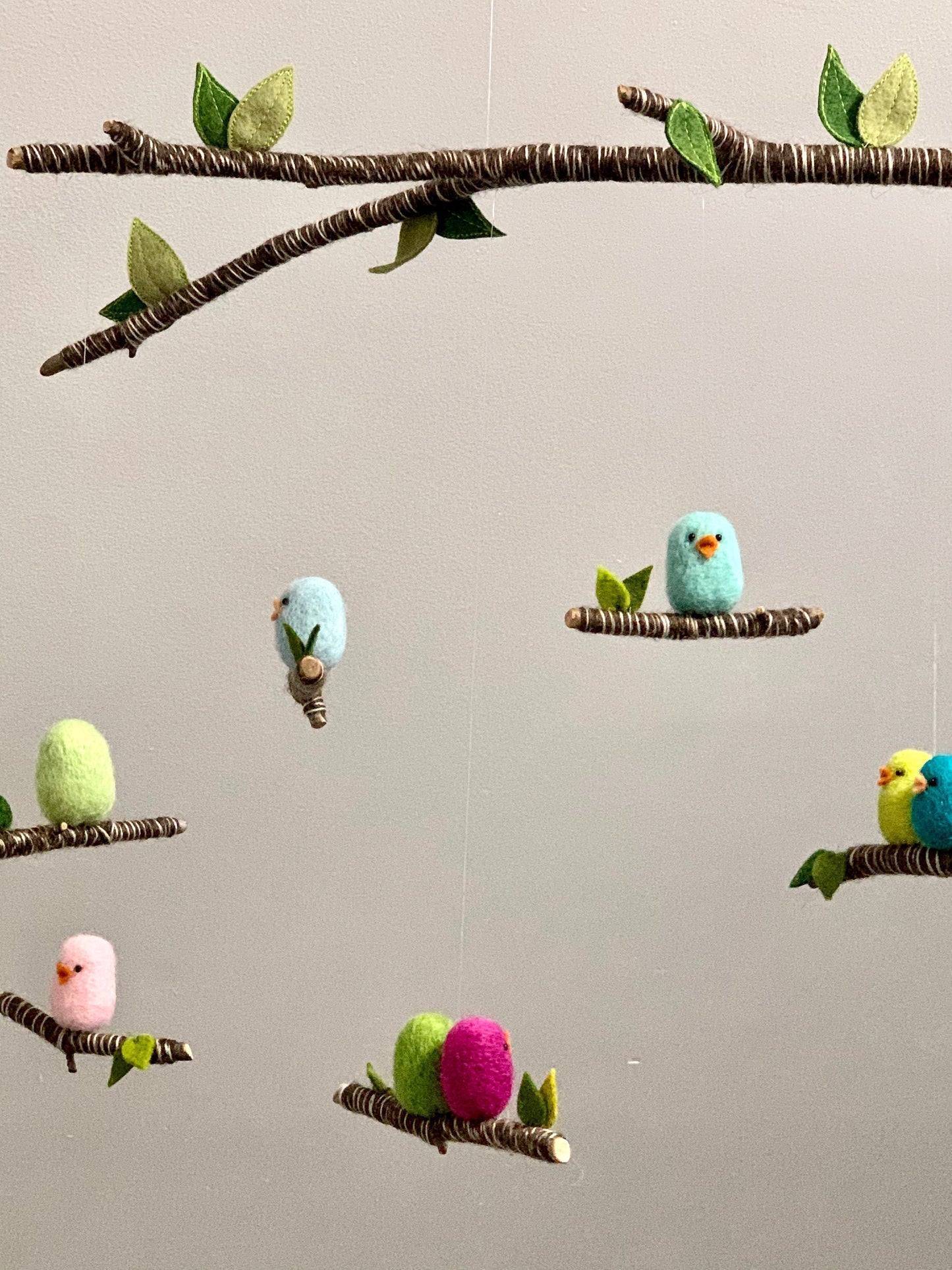 Birds of the Northeast Mobile