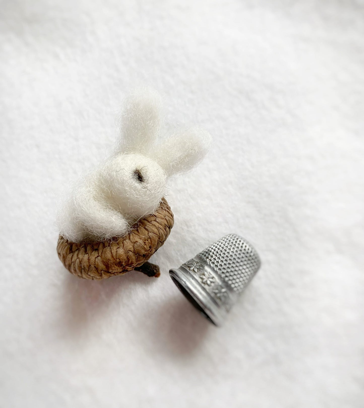 Sleeping White Bunny in Acorn Cap