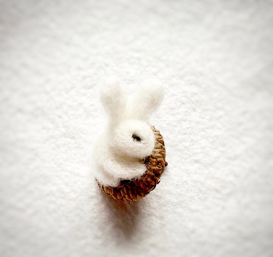 Sleeping White Bunny in Acorn Cap