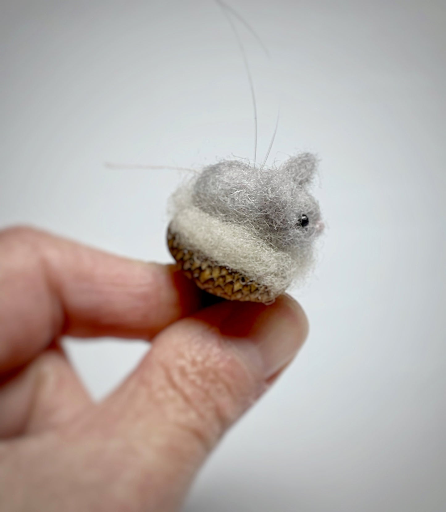 Gray Mouse in Acorn Cap