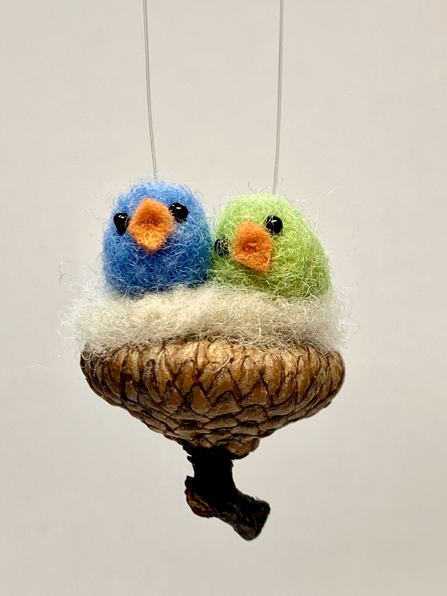 Two Birds in Acorn Cap Nest