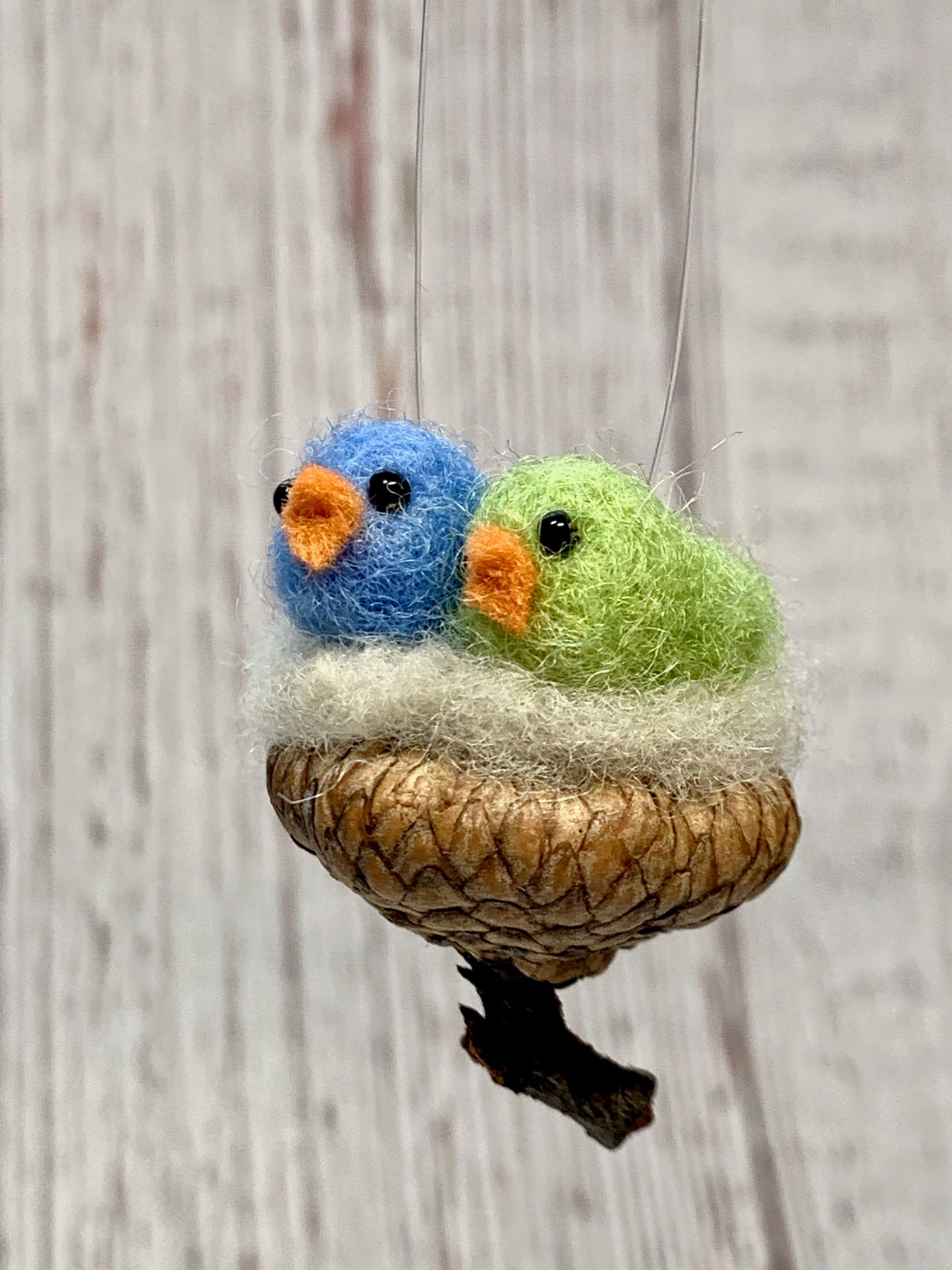 Two Birds in Acorn Cap Nest