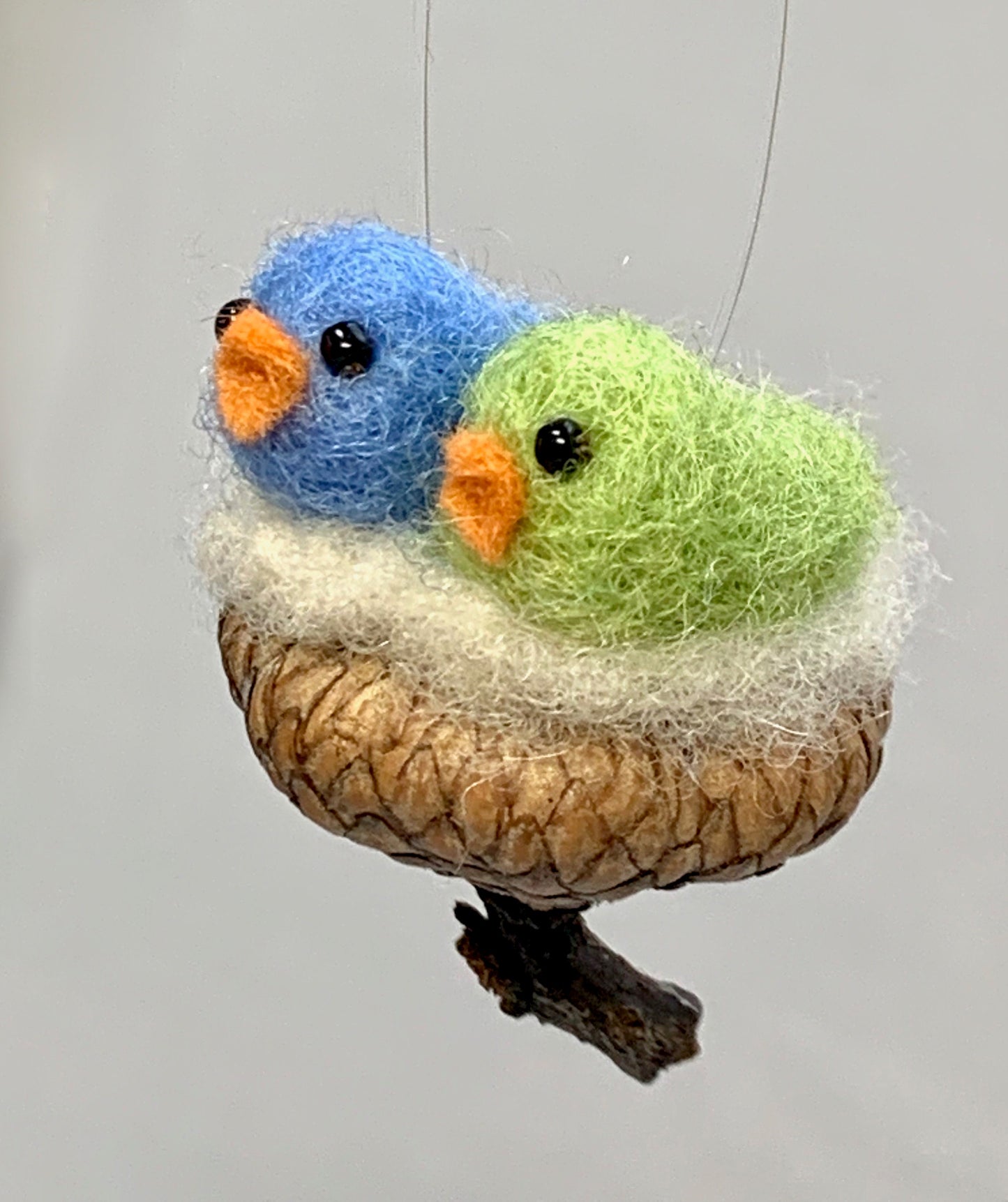 Two Birds in Acorn Cap Nest