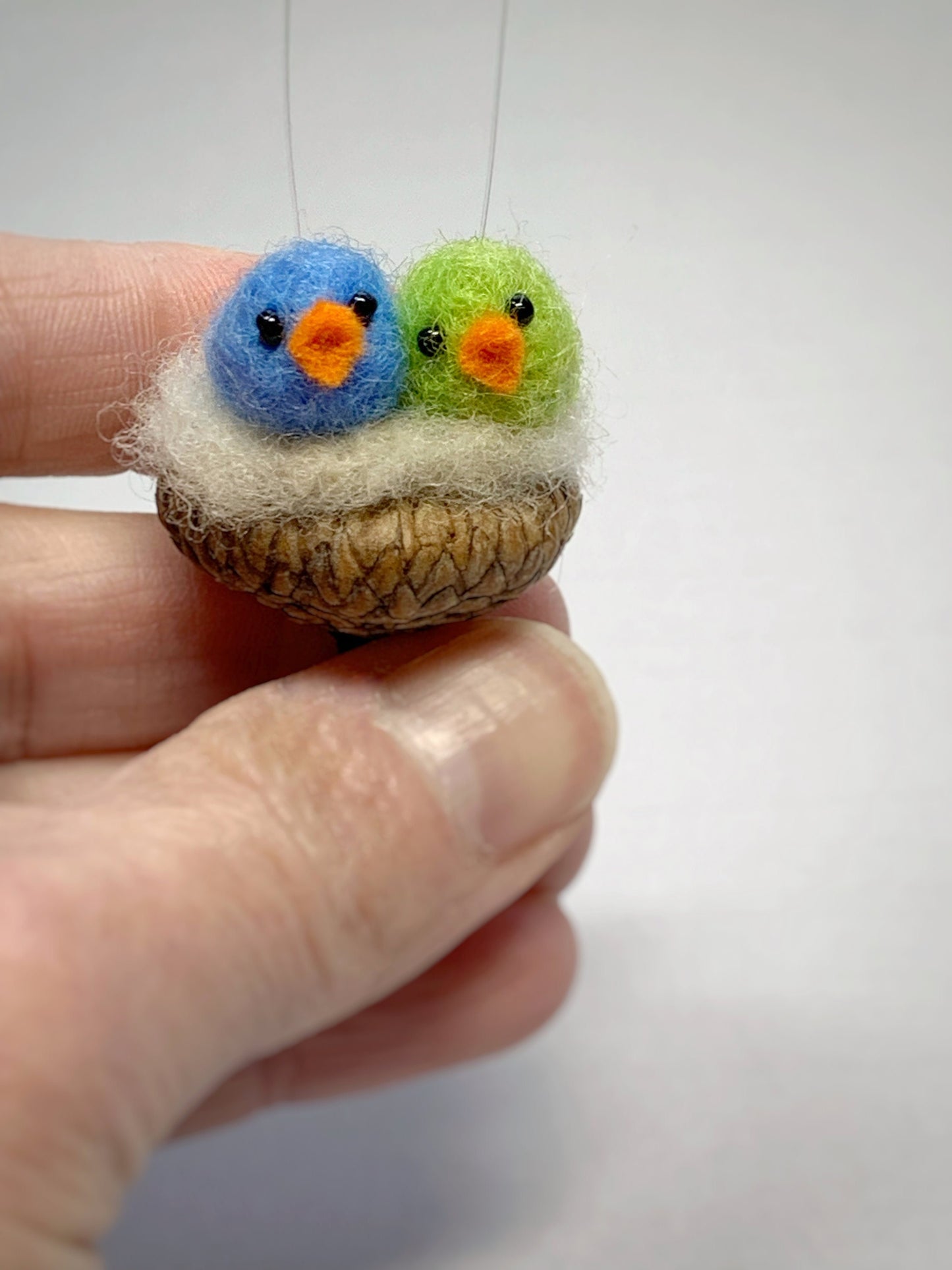 Two Birds in Acorn Cap Nest